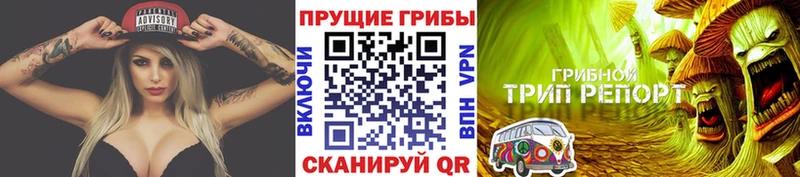 мега ССЫЛКА  где можно купить наркотик  Нижний Новгород  Галлюциногенные грибы GOLDEN TEACHER 