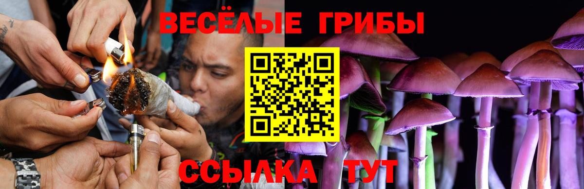 Псилоцибиновые грибы Psilocybe  магазин продажи   Нижний Новгород  Вход с VPN  Псилоцибиновые грибы Psilocybine cubensis 